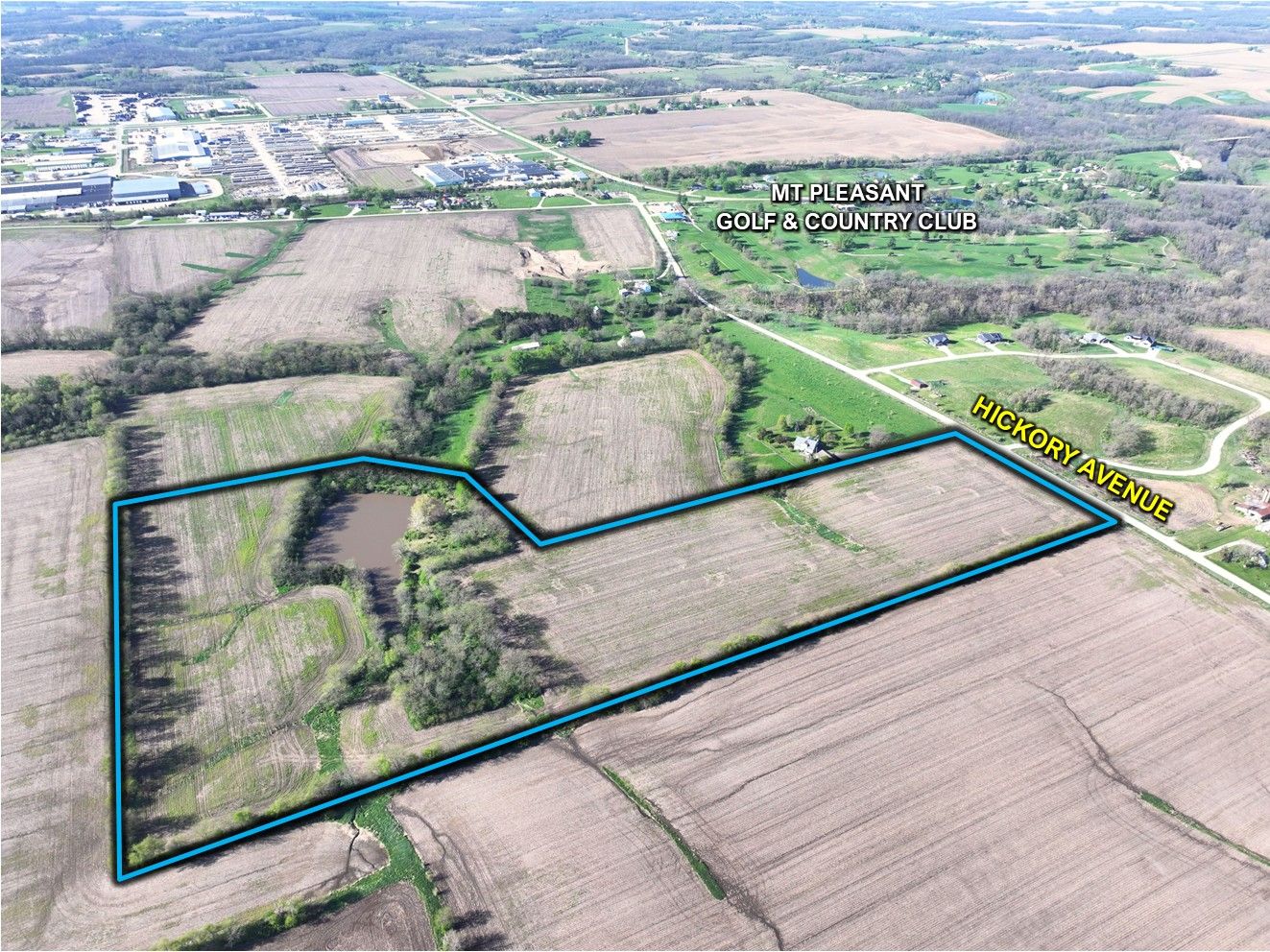 Listing Photo: Henry County, IA Farmland For Sale4